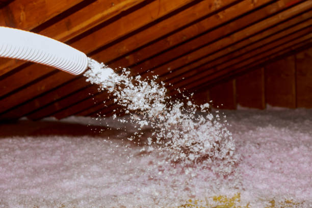 Best Residential Insulation in Opa Locka, FL
