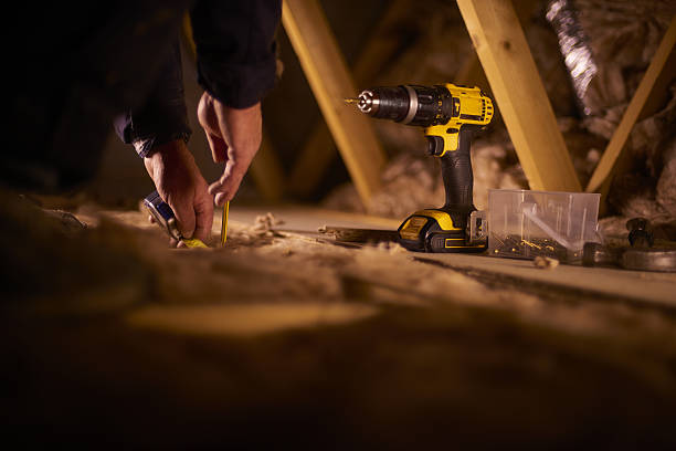 Best Insulation Installation Services in Opa Locka, FL
